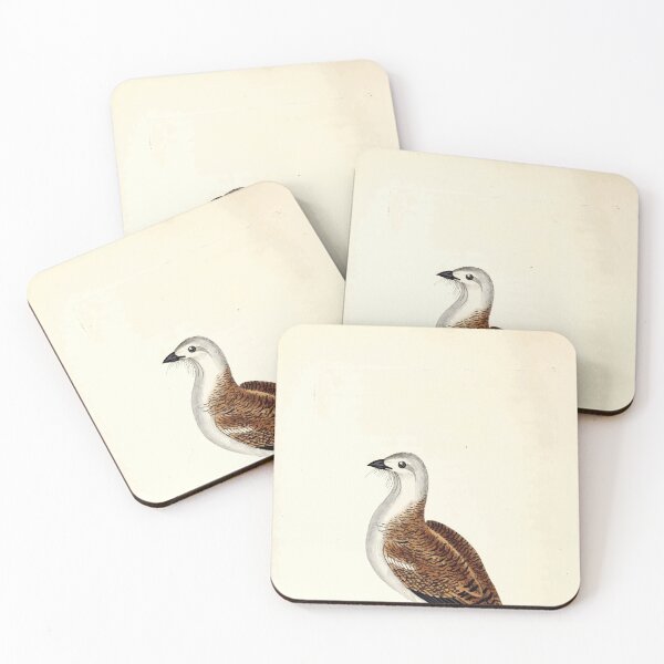 Item preview, British ornithology  being the history with a coloured representation of every known species of British birds George Graves 1821 123 designed and sold by WetdryvacRB01.