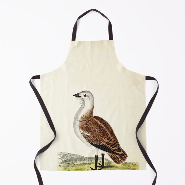 Item preview, British ornithology  being the history with a coloured representation of every known species of British birds George Graves 1821 123 designed and sold by WetdryvacRB01.