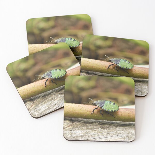 Item preview, Irish Ladybugs Are Green designed and sold by Fara.