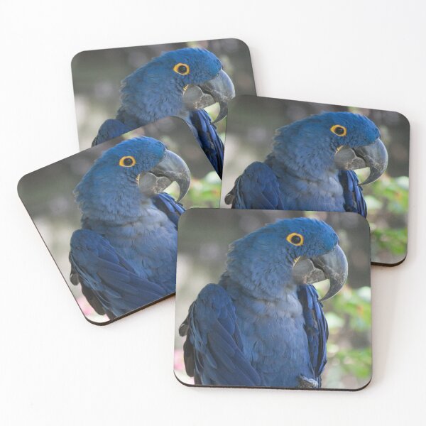 Item preview, Royal Blue designed and sold by Jacquelie.