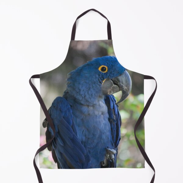 Item preview, Royal Blue designed and sold by Jacquelie.