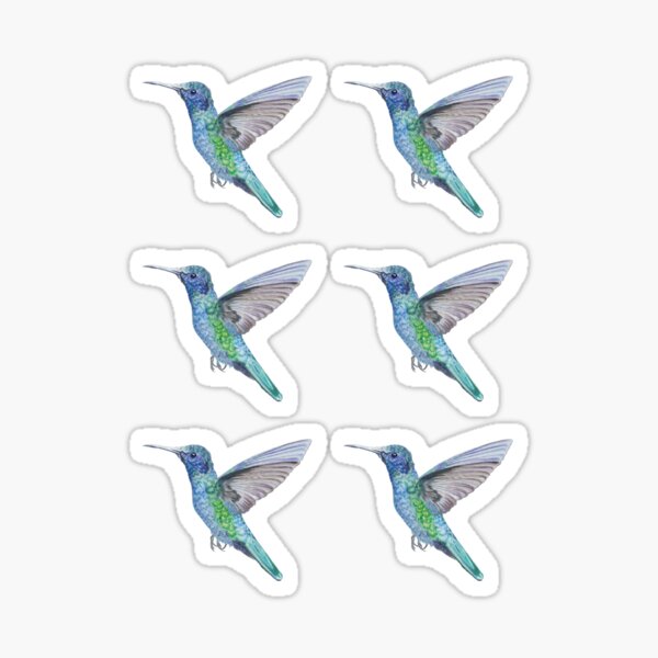 Hummingbird Sticker Pack #1 (6 stickers) Sticker