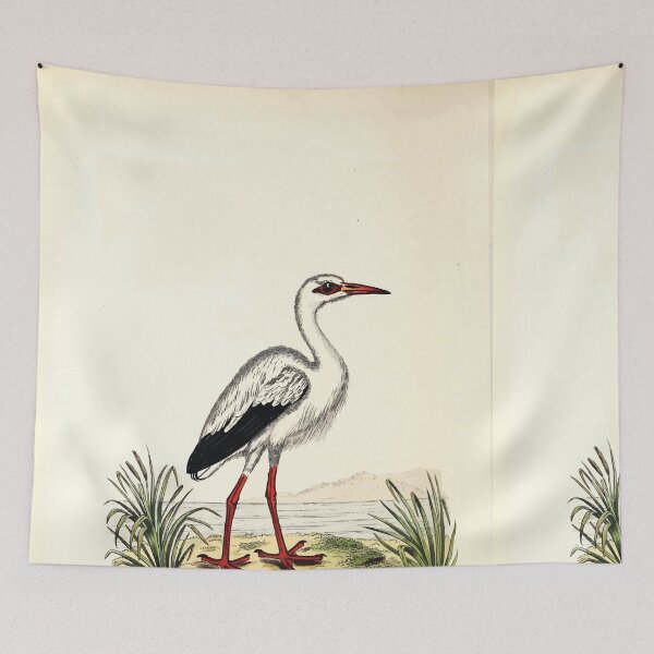 Item preview, British ornithology  being the history with a coloured representation of every known species of British birds George Graves 1821 124 designed and sold by WetdryvacRB01.