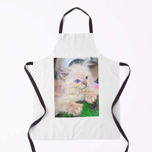 Item preview, Ragdoll kitten Saoirse designed and sold by Fluffycat2020.