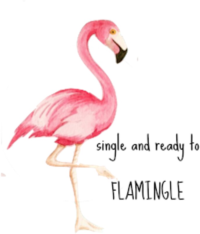 single and ready to single and ready to
