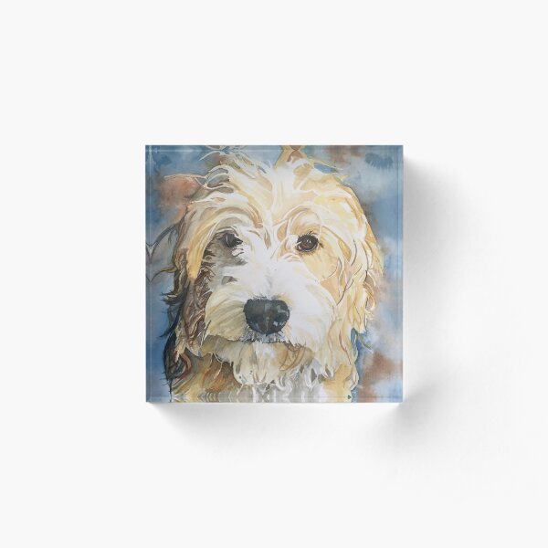 The Fluffy Doodle #1 Acrylic Block