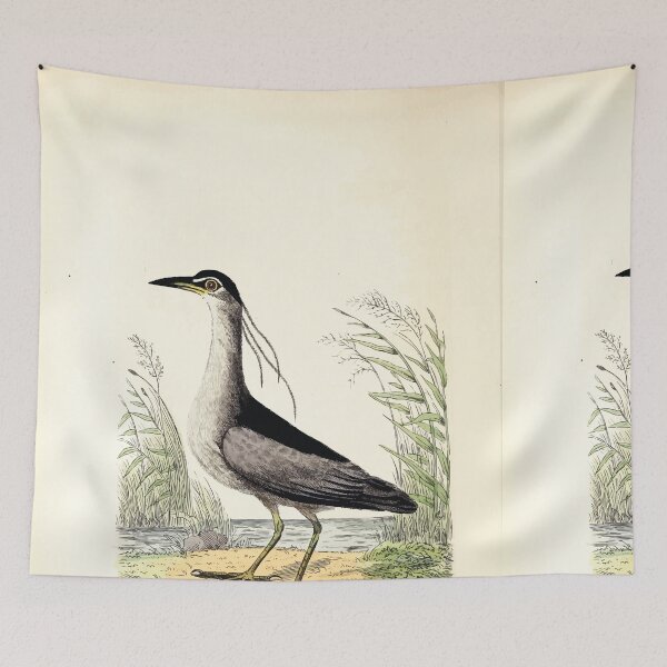 Item preview, British ornithology  being the history with a coloured representation of every known species of British birds George Graves 1821 125 designed and sold by WetdryvacRB01.