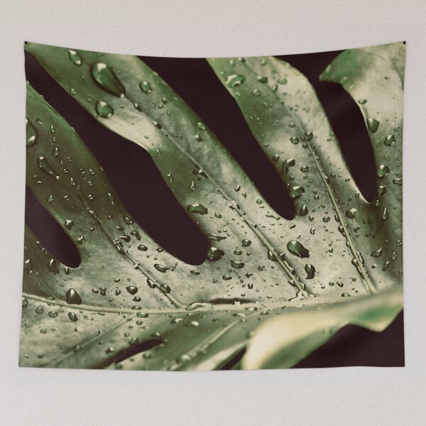 Item preview, Wet jungle leaf designed and sold by landsca-pics.