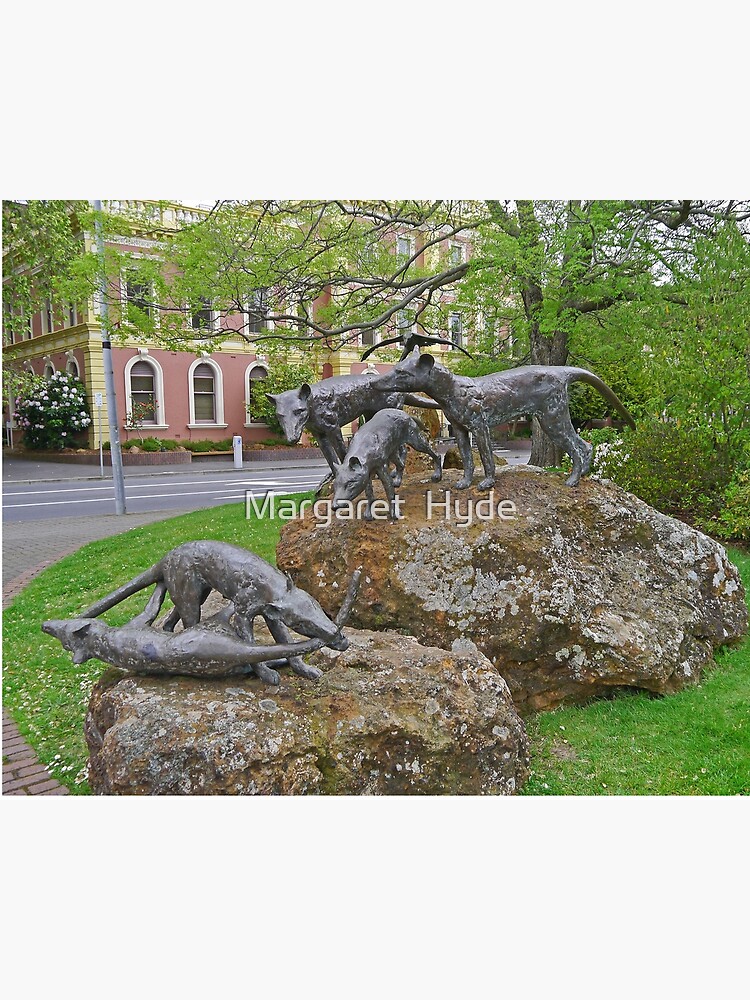 "Thylacine statues, Launceston, Tasmania, Australia" Poster for Sale by