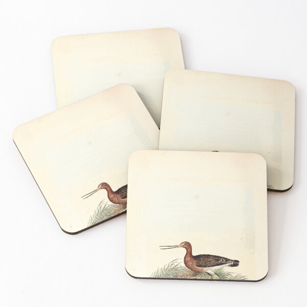 Item preview, British ornithology  being the history with a coloured representation of every known species of British birds George Graves 1821 127 designed and sold by WetdryvacRB01.