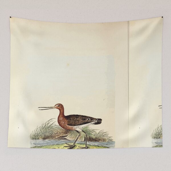 Item preview, British ornithology  being the history with a coloured representation of every known species of British birds George Graves 1821 127 designed and sold by WetdryvacRB01.