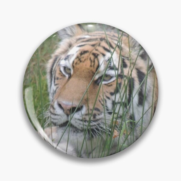 The Tiger Who Came To Tea Gifts & Merchandise | Redbubble