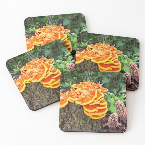 Item preview, Mushroom Hunting Dream designed and sold by sd749.