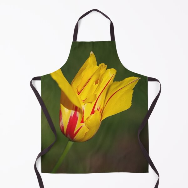 Item preview, Yellow Red Striped Tulip designed and sold by Joy Watson - Natural Light Photography .