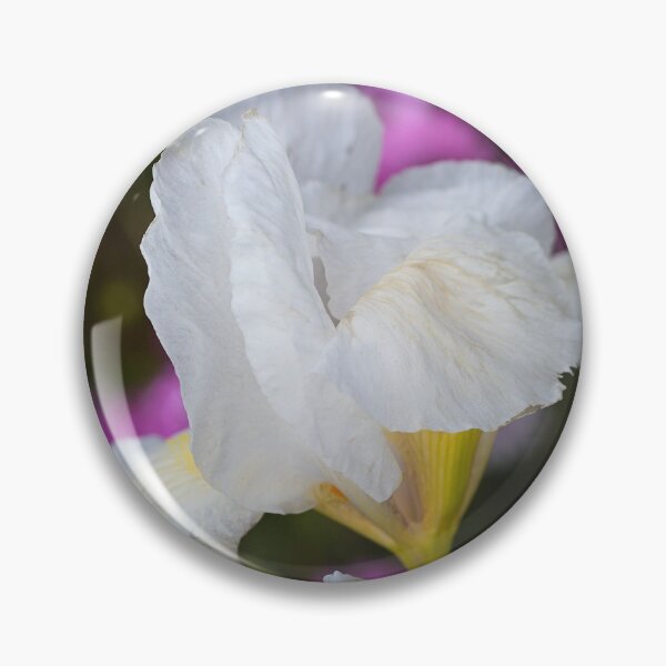 Item preview, Small White Iris In Bloom designed and sold by Joy Watson - Natural Light Photography .