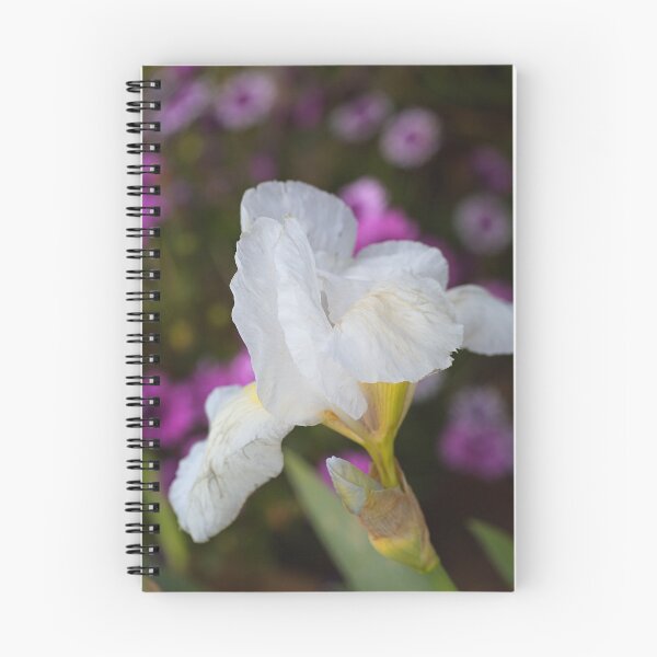Item preview, Small White Iris In Bloom designed and sold by Joy Watson - Natural Light Photography .