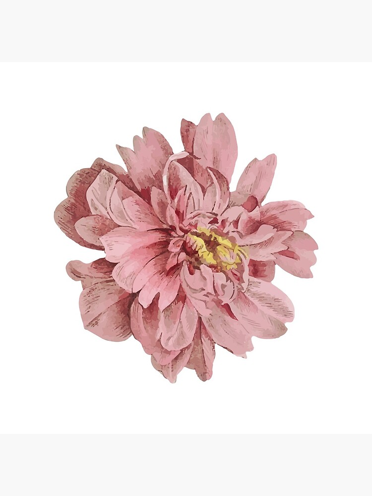 Pink Flower Poster