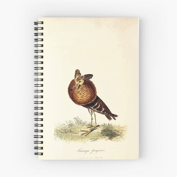 Item preview, British ornithology  being the history with a coloured representation of every known species of British birds George Graves 1821 128 designed and sold by WetdryvacRB01.