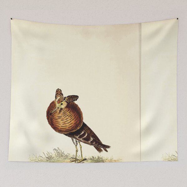 Item preview, British ornithology  being the history with a coloured representation of every known species of British birds George Graves 1821 128 designed and sold by WetdryvacRB01.