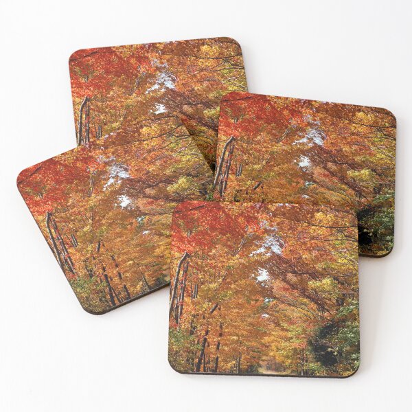 Item preview, Fall 2020 designed and sold by Jason MacPherson.