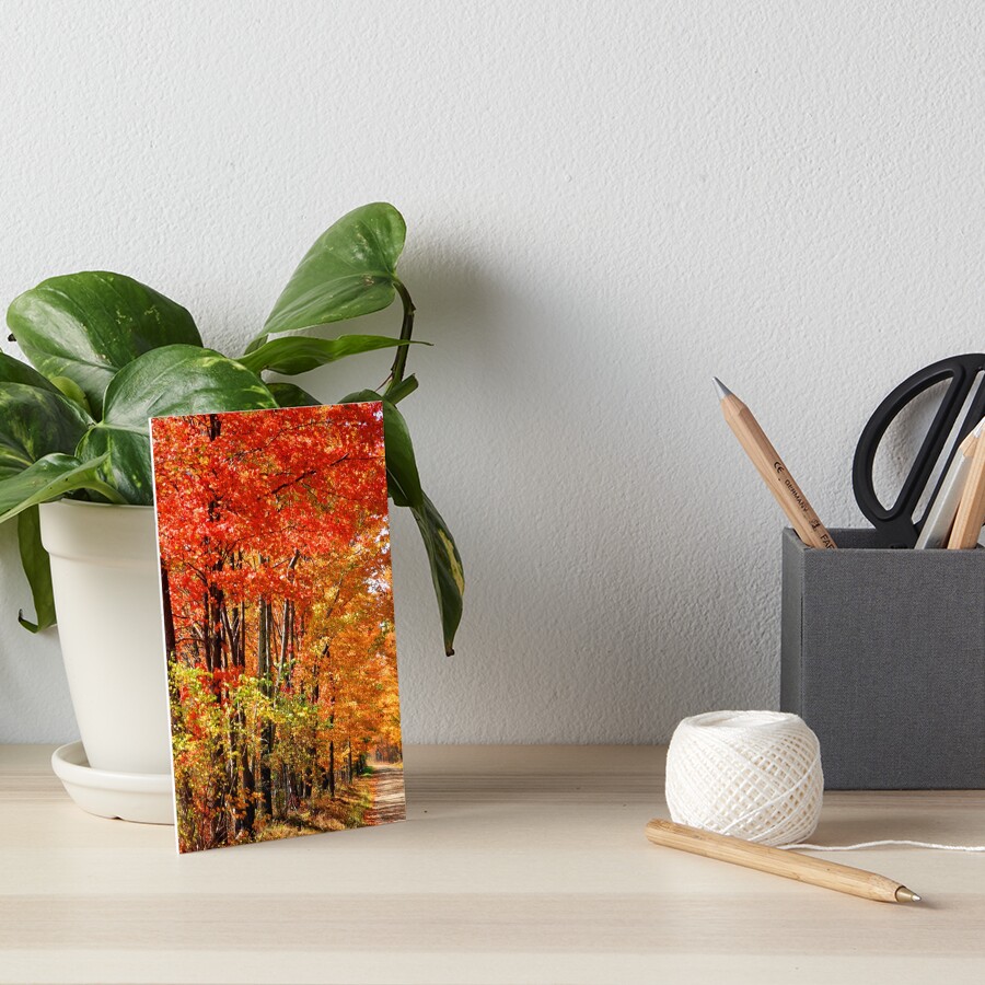 Item preview, Art Board Print designed and sold by MacPhotos.