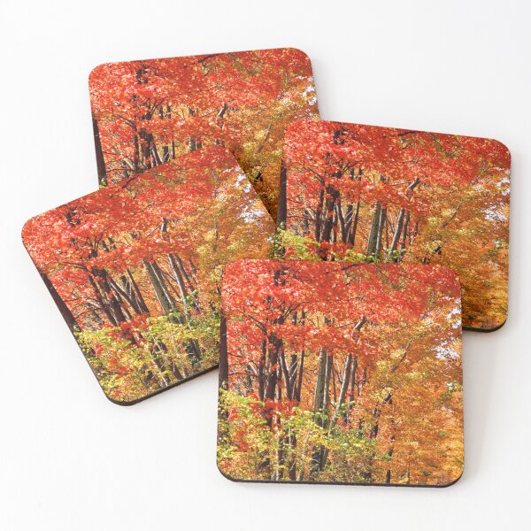 Item preview, Fall Trees designed and sold by Jason MacPherson.