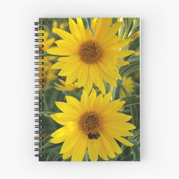 Item preview, Sunflowers II designed and sold by Daniel Holtmeyer.