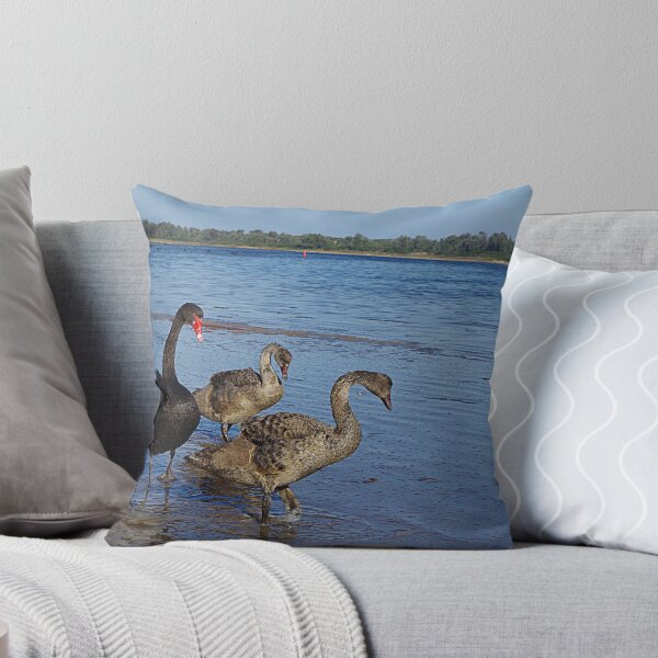 Item preview, Black Swan (Cygnus atratus)  designed and sold by Paul Chubb.