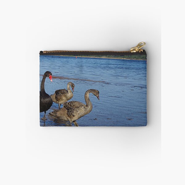 Item preview, Black Swan (Cygnus atratus)  designed and sold by Paul Chubb.