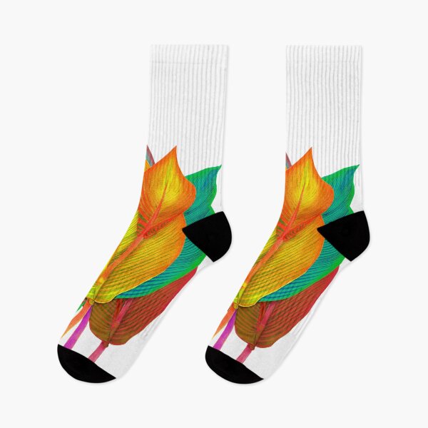 Artikelvorschau, Canna Tropicanna entworfen und verkauft von MitaDreamDesign.