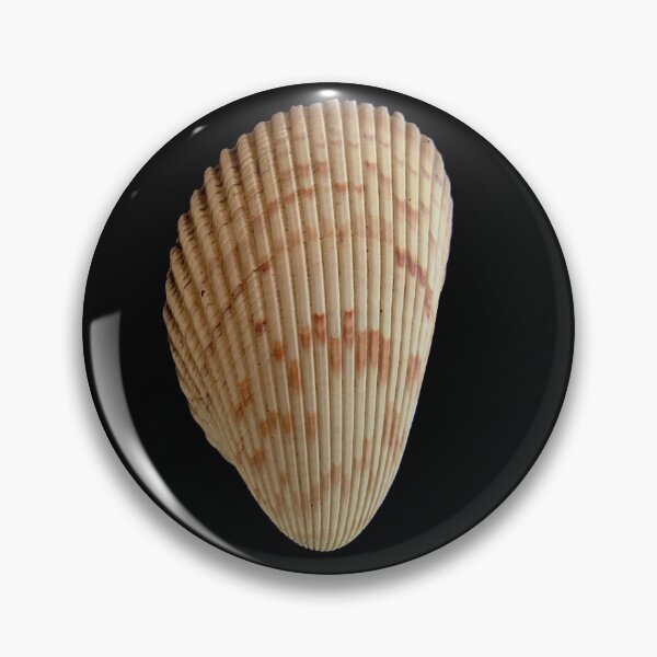 Item preview, Shells on the beach designed and sold by ralphsamo.