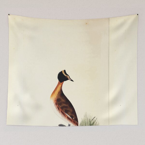 Item preview, British ornithology  being the history with a coloured representation of every known species of British birds George Graves 1821 132 designed and sold by WetdryvacRB01.