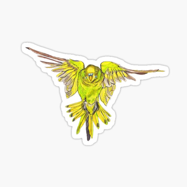 Flying Australian Budgie Bird Parakeet Sticker