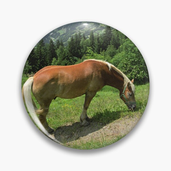 Item preview, Horse at Kristberg, Austria designed and sold by Lenka.