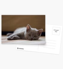 Love me Postcards