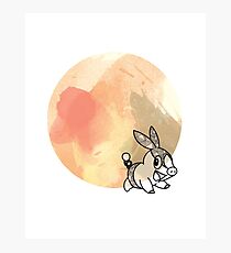 Tepig Photographic Print