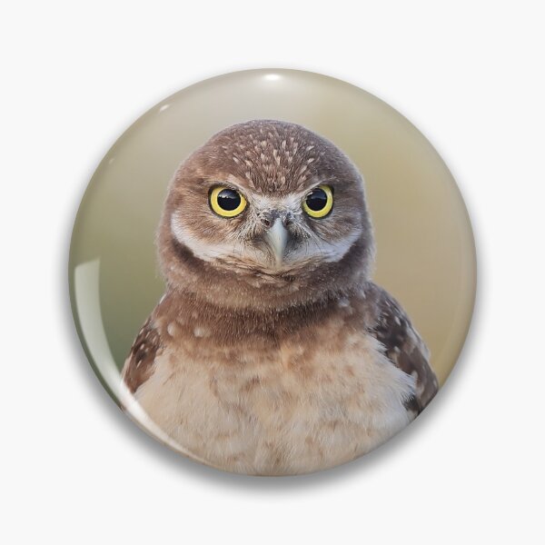 Item preview, Burrowing Owlet designed and sold by mlorenz.