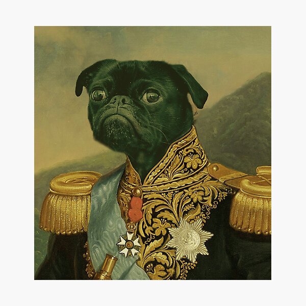 Item preview, Romanticism black pug portrait designed and sold by CoolSkin.