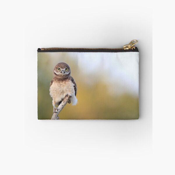 Item preview, Burrowing Owlet designed and sold by mlorenz.