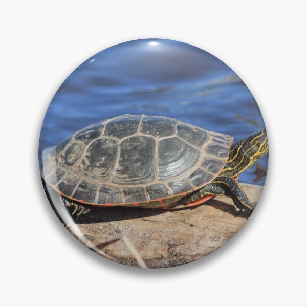 Item preview, Western Painted Turtle designed and sold by Rochelle Smith.