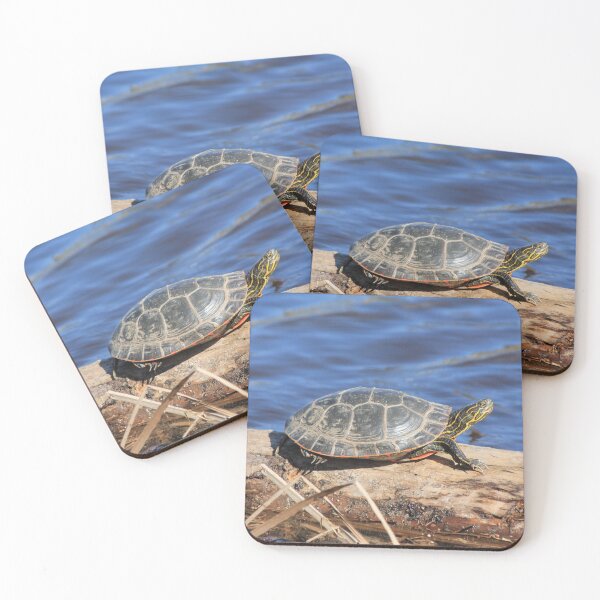 Item preview, Western Painted Turtle designed and sold by Rochelle Smith.