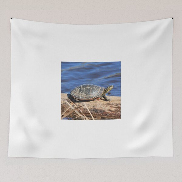 Item preview, Western Painted Turtle designed and sold by Rochelle Smith.