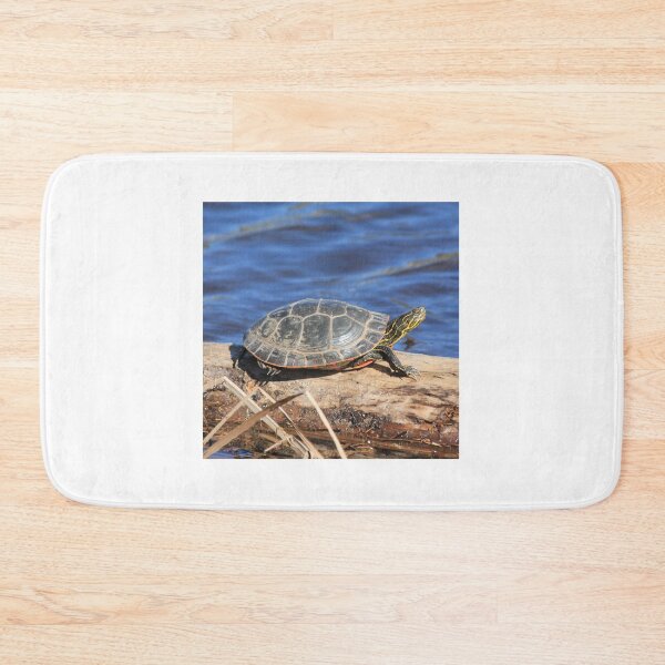Item preview, Western Painted Turtle designed and sold by Rochelle Smith.