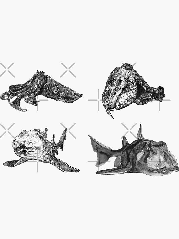 Sea 2 - Cuttlefish and Port Jackson Sharks x 4 by Wildcard-Sue