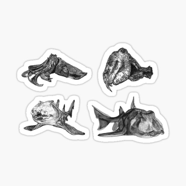 Sea 2 - Cuttlefish and Port Jackson Sharks x 4 Sticker