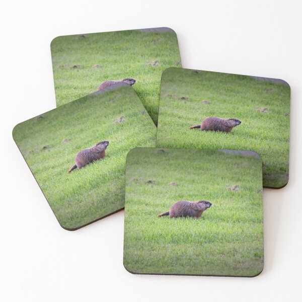Item preview, Groundhog designed and sold by Rochelle Smith.