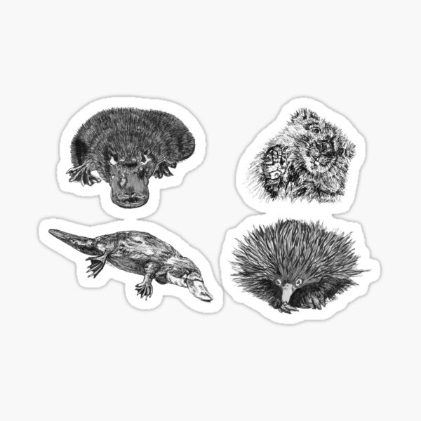 Land 2- 2x Platypus, Echidna and Wombat x 4 Sticker