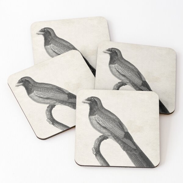 Item preview, 1809 Engraving of Red-bellied Couroucou designed and sold by Gin  Neko.