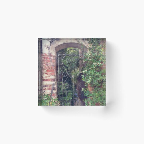 Item preview, Iron Gate  designed and sold by Ollivrosa.
