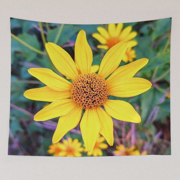 Item preview, Yellow Oxeye Daisy False Sunflower  designed and sold by AmaTierra.